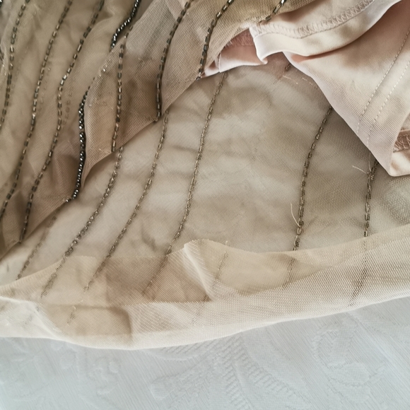 Adrianna Papell Nude Beaded Gown Size 4 - Picture 9 of 12